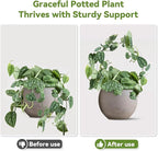 2 Pack Round Plant Trellis for Potted Plants Indoor Outdoor, Acrylic Small - Image 3