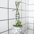 DNA Spiral Plant Trellis Indoor - Image 7