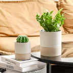 Nihow Self Watering Plant Pot: 4.5 Inch Ceramic Planter - Image 6
