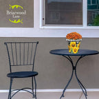 Briarwood Lane Checkered Sunflowers Decorative Small Planter - Image 3