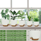 Self Watering Planters with Drainage Holes Reservoir, Nursery Planting Pot - Image 2
