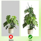 6 Pack Stackable Monstera Plant Support, Plant Stakes - Image 4