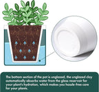 D'vine Dev 4 Inch Design Self Watering Planter - Image 6