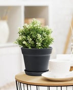 homenote Pots for Plants, 15 Pack 6 Inch Plastic Planters - Image 4