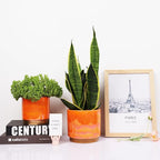 Gepege Ceramic Indoor Pots for Plants, Rainbow Pearl Glaze Planter - Image 4