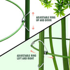 LEOBRO Tomato Cage, Climbing Plant, Plant Cages - Image 4