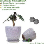 8 Inch + 6 Inch Retro Ceramic Planter Set of 2 - Image 2