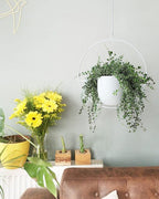 Hanging Planter Indoor Modern Boho Plant Pot Metal Wall and Ceiling Plant Holder - Image 5