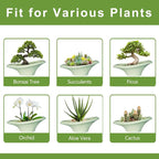 Ceramic Bonsai Pots - Image 7