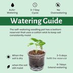 18 Pack 6.5/5/4 Inch Clear Self Watering Plant Pots - Image 6