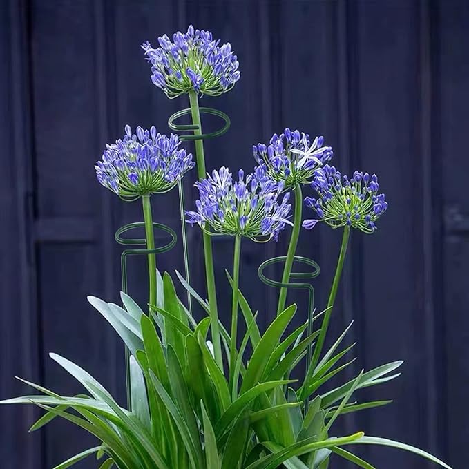 20 Pack 16 Inch Plant Support Stakes, Metal Single stemmed Flower Support - Image 5