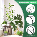 Plant Trellis for Climbing Plants Indoor, 15.94Inch Small Garden Metal - Image 2