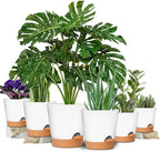 GARDIFE Plant Pots 8/7/6.5/6/5.5/5 Inch Self Watering Planters - Image 2