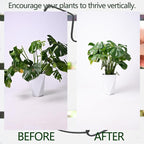 5PCS Black Monstera Plant Stem Support 9x7.6in - Image 3