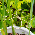 Durable Monstera Plant Support Hooks 5.5in - Image 6