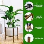 Airpark Adjustable Plant Stand Indoor, Metal Mid Century Modern Plants Stands - Image 2