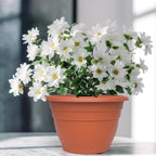 5 Pack 10 Inch Plant Pots Lightweight Planters - Image 4