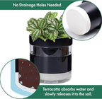 Phoenix Vine 6 Inch Self Watering Terracotta Planter - Image 5