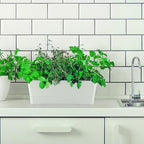 Skelang 3 Pcs Rectangular Plant Pot, Windowsill Container - Image 7