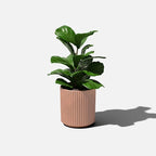 Veradek Demi Series Round Planter - Image 8