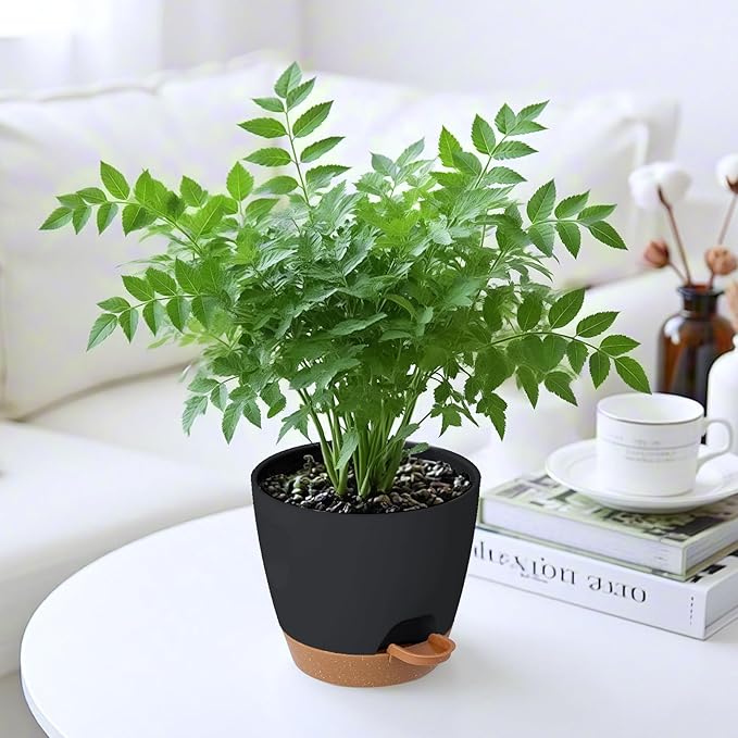 4-Pack Plant Pots with Drainage 6.5/6/5.5/5 Inch, Self Watering Pots - Image 6