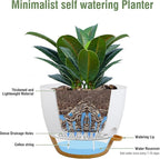 12 inch Large Self Watering Pots - Image 4