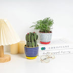 Selamica Ceramic Succulent Pots, 4.6 Inch Small Plant Pots - Image 4