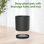 10/8/6 inch Large Deep Plant Pots - Image 4