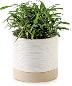 Nihow Ceramic Plant Pot: 6 Inch Planter by Nihow