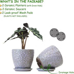 6 Inch Retro Ceramic Planter Set of 2 - Image 3