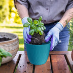 6 inch Plant Pots, 5 Pack Flower Pots - Image 4