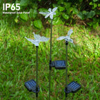 Solar Pathway Lights - Image 5