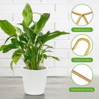 4 Pcs Small Metal Trellis for Potted Plants, Small Trellis for Potted Plants - Image 4