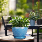 6 Inch Plant Pot - Image 5