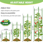 Legigo 6-Pack Tomato Cage for Garden Plant Support- Up to 48inch Garden Stakes - Image 2