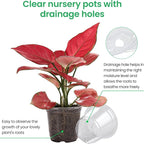 30 Packs 7/5/4 Inch Reinforced Clear Nursery Pots - Image 3