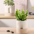 Nihow Self Watering Plant Pot: 6 Inch Ceramic Planter - Image 9