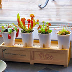 3" Self Watering Pots, 20 Sets Self Watering Planter Pots - Image 8