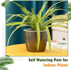 Self Watering Pots for Indoor Plants, Small African Violet Pots - Image 5