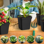 Square Nursery Pots 5.5 Inch, Plastic Plant Pot - Image 6