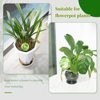 6pcs Large Plant Self Watering Globes, 17.5 oz Plastic Water Bulbs Top Fill - Image 5