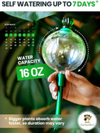 6pcs 16 Oz Plant Watering Globes - Image 2