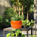 SQOWL Ceramic Planter - Image 5