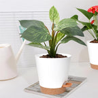 Planters for Indoor Plants 7/6.5/6/5.5/5 Inch, Self Watering Planters - Image 7