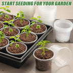 Clear Seedling pots 20 Pack 3.2 Inches Round - Image 7