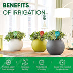Plant Watering Globes Set of 2 - Image 4
