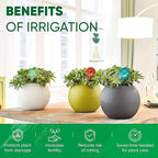 Plant Watering Globes Set of 2 - Image 4