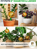 16 Oz Plant Watering Globes for Indoor Plants - Image 5