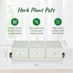 volila Herb Planter Indoor - Image 2