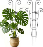 2 Pcs Tall Trellis for Potted Plants, Plant Pothos Climber Support for Monstera by Unknown